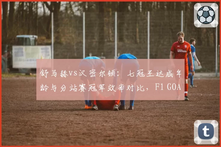 舒马赫vs汉密尔顿:七冠王达成年龄与分站赛冠军效率对比,F1 GOAT之争