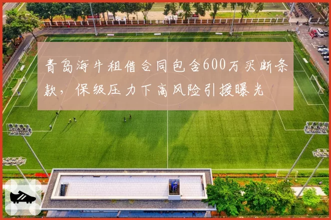 青岛海牛租借合同包含600万买断条款,保级压力下高风险引援曝光